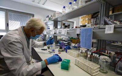 Instituto de Recursos Humanos para la Ciencia y la Tecnología (INCRECYT)