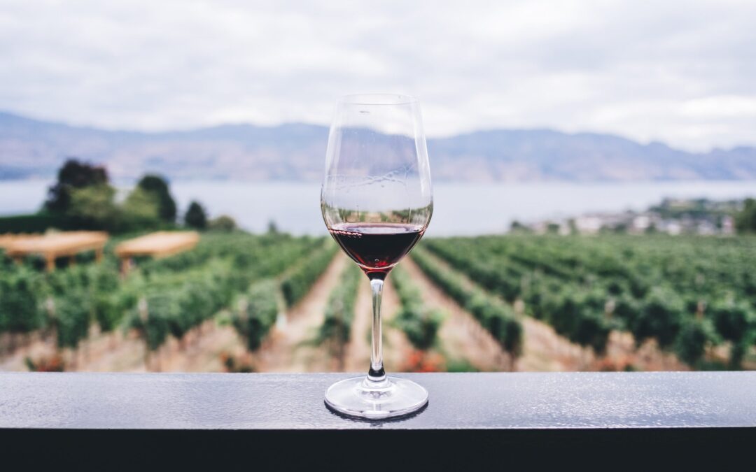 vinos.wine ve incrementadas las búsquedas en su web en un 71% durante el confinamiento