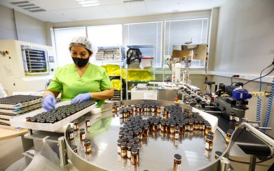 Convocados los Premios Nacionales de Investigación 2021