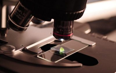 Impulso a la ciencia con más de 1.220 millones para talento e investigación