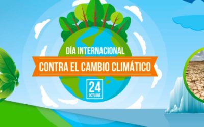 Actividades con motivo del Día Internacional contra el Cambio Climático