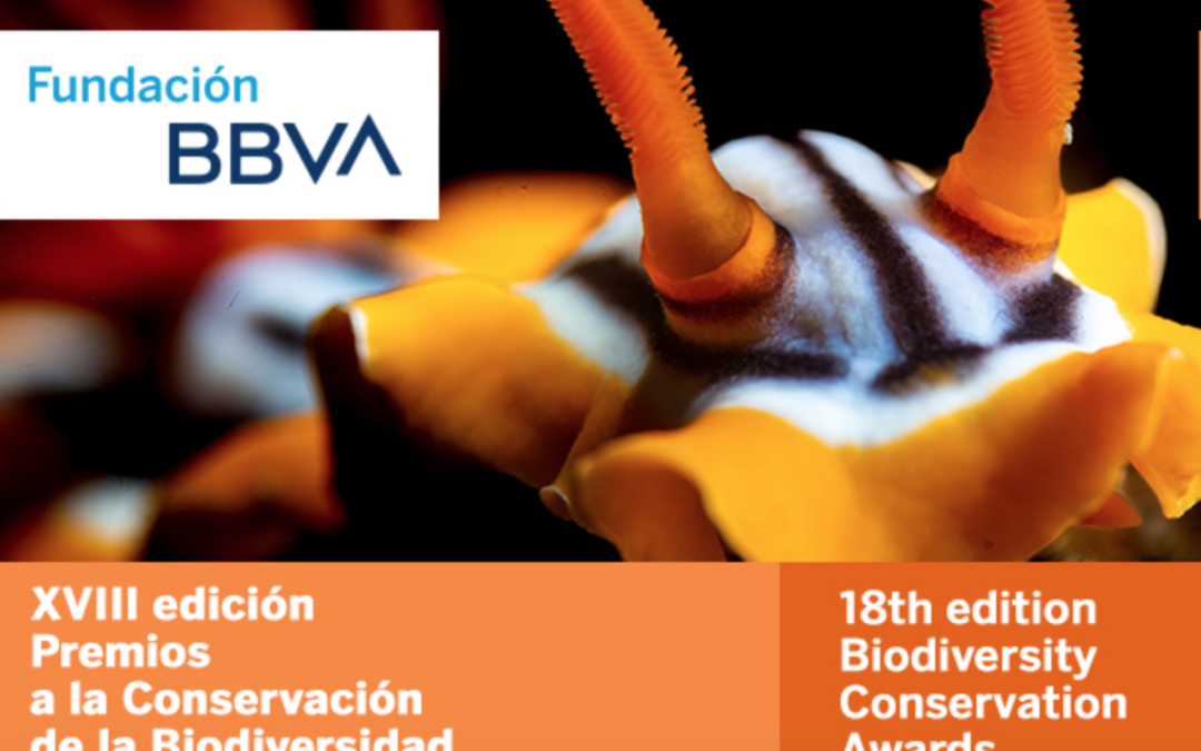 Premios Fundación BBVA