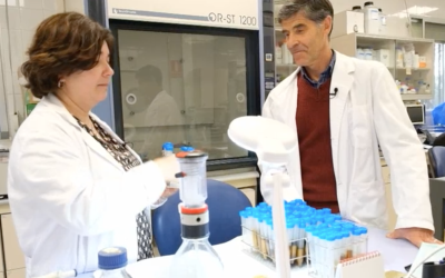La investigadora del PCTCLM Raquel Martín colabora en la primera vacuna para abejas