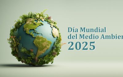 Día Mundial del Medio Ambiente: Contra la contaminación por plásticos