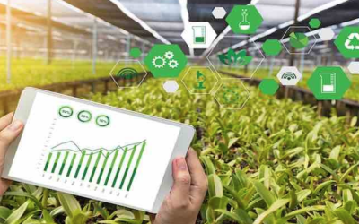 Ayudas de hasta 250.000 euros para implementar innovación en el campo