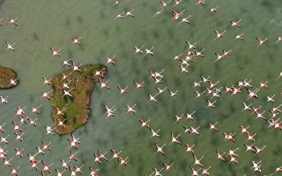 La Fundación BBVA lanza la XXI edición de los Premios Biodiversidad