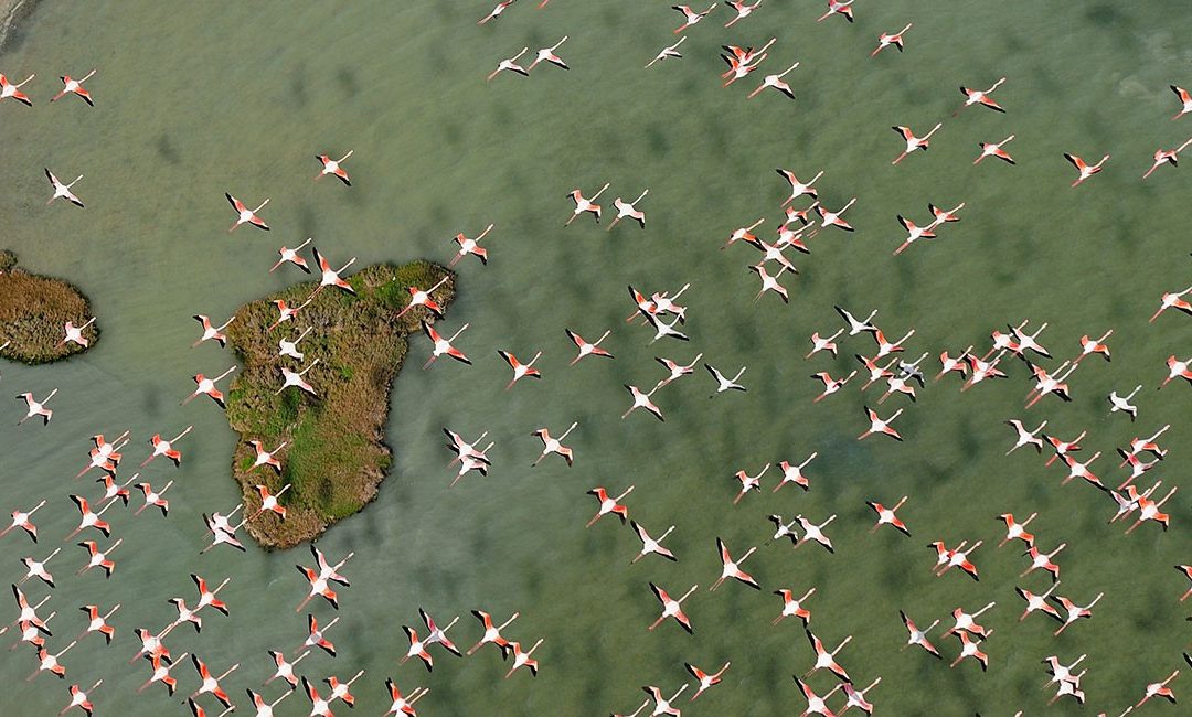 Premios Biodiversidad